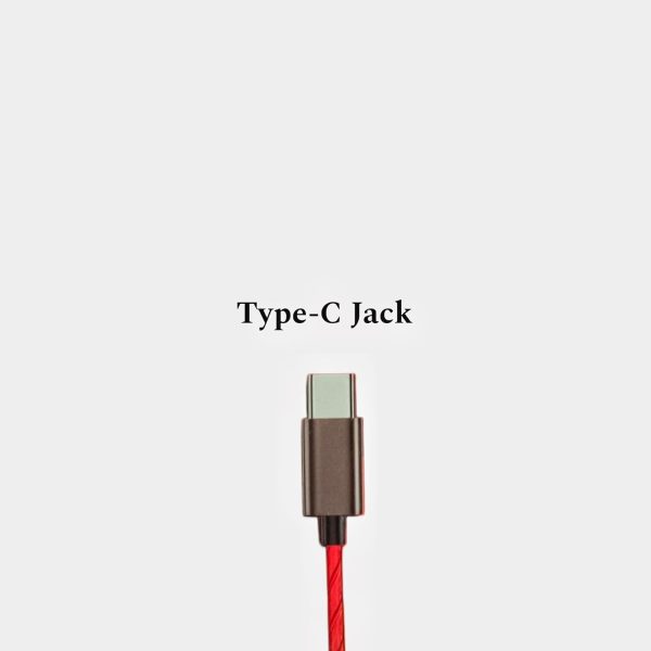 Signature Waves Type-C Jack Wired Earphones - Image 4